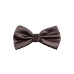 نمای رو به رو پاپیون قهوه‌ای تیره